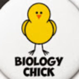 Meet your Posher, Melody